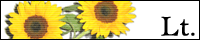 200*40